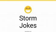 159  Storm Jokes And Funny Puns - JokoJokes