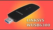 Linksys WUSB6300 AC1200 Dual Band USB Wifi Adapter driver download & installation for Windows10/11