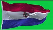 🚩Paraguay Flag Waving | GREEN SCREEN & CHROMA MATTE🚩