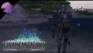 FFXI | Final Dark Knight Coffer + Head Quest & Leveling! | Final Fantasy XI