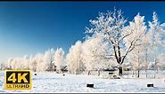 [4K] 11 Hours Of Beautiful Winter Scenes And Soothing Music for Relaxation