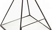Modern Glass Pyramid Tabletop Succulent Plant Terrarium Box/Air Plant & Cacti Holder Case - MyGift®