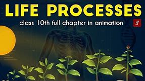 Life Processes Class 10 full Chapter (Animation) | Class 10 Science Chapter 6 | CBSE | NCERT