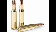Why 308 is the Best Hunting Ammo! Comparing .308 vs .223 and .30-06