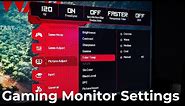Gaming Monitor Settings
