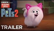 The Secret Life Of Pets 2 | The Gidget Trailer [HD] | Illumination