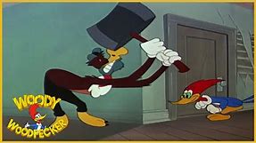Woody Woodpecker Classic | Slingshot 6 7/8 | Full Episodes