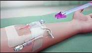 BD PIVO Needle-free Blood Collection Device: User Instructions