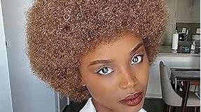 Yargel Hair Short Human Hair Afro Wigs for Black Women Glueless Wear and Go Wig 70s Afro Wigs Unisex Kinky Curly Afro Fluffy Puff Wigs for Daily Party Use (30#)