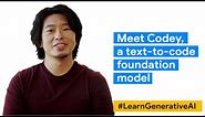 Meet Codey, a text-to-code foundation model | #LearnGenerativeAI with Google