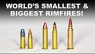 World's Smallest & Biggest Rimfires — 17 and 22 Calibers
