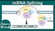 splicing mechanism and its importance (overview) | How does splicing happen? | Molbio