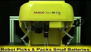 Ultra Fast Pick & Place Robot - FANUC's New Three-Axis Delta Robot Packs Small Batteries