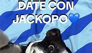 Conoce un poco de Jacko bebé! #DogLover #Cafe #DogStory
