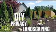 DIY Privacy Landscaping | Emerald Green Arborvitae | Landscaping Makeover Idea