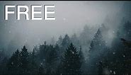 Snowfall in Forest | FREE Motion Background Animation - 4K