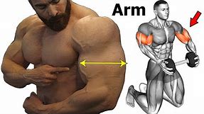 14 Best Workout To Get Big And Perfect Arms