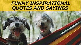 100  Funny Inspirational Quotes and Sayings