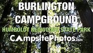 Burlington Campground, Humboldt Redwoods State Park, California