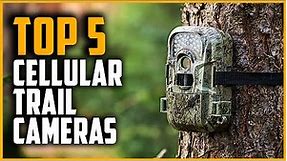 Best Cellular Trail Cameras 2024 | Top 5 Best Cellular Trail Camera Reviews