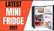 Top 10 Best Mini Fridge with Freezer 2022