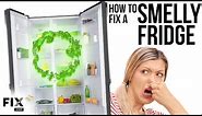 My Refrigerator Stinks! | How to FIX a Smelly Fridge | FIX.com