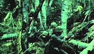 Vietnam War Radio Chatter- Contact
