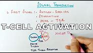 Mechanism of T-CELL ACTIVATION