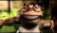 Bazza the cane toad