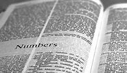 Numbers 18 - New International Version (NIV) Dramatized Audio Bible