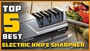 Best Electric Knife Sharpener [ Reviews 2024 ]