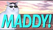 HAPPY BIRTHDAY MADDY! - EPIC CAT Happy Birthday Song
