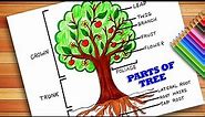 Parts of Trees Drawing | How to draw and label a tree tutorial | Parts Of Tree Poster | Forest Day