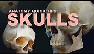 Anatomy Quick Tips: Skulls