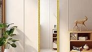 Beauty4U Full Length Mirror Wall Mirror Full Body Dressing Mirror Wall Mounted Hanging for Dorm Home, 50"x 14", Gold