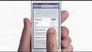 Apple - iPhone 5 - TV Ad - Dream.(Original video)