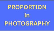 What Is Proportion In Photography? Does It Matter?