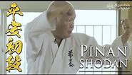 Powerful Pinan Shodan Kata | Okinawan Karate Grand Master | Shorin-ryu Kenshikai | Ageshio Japan