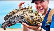 STUNG by a Stonefish! (Most Painful Sting on Earth)