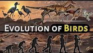 Evolution of Birds | पक्षियों का उद्विकास