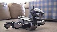 Aibo ERS-220 (Explorer Bootup and Walk)