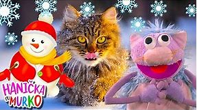 Zimné pesničky pre deti ❄ Vianočné pesničky po slovensky 🎄Hanička a Murko 🐱Zvieratká pre deti 🐧 Zima