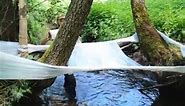 Building an Amazing Shelter Over the WATER with Plastic Wrap