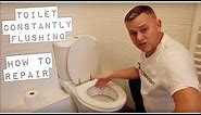 Toilet Leaking, Wont Stop Flushing, Running How To Repair. "DIY Easy Fix" Ideal Standard