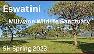 Eswatini, Mlilwane Wildlife Sanctuary Hike