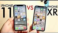 iPhone 11 Vs iPhone XR In 2023! (Comparison) (Review)