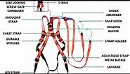 Double Lanyard Full Body Harness Inspection Guide | Ensuring Safety at Heights