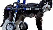 Walkin' Wheels Lightweight – for Small Cats 2 to 20 Pounds – Veterinarian Approved – Cat Wheelchair for Back Legs