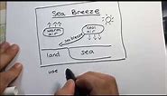 Sea Breeze Diagram