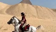 Exhilarating Arabian horses galloping at the great pyramids of Cairo, Egypt.